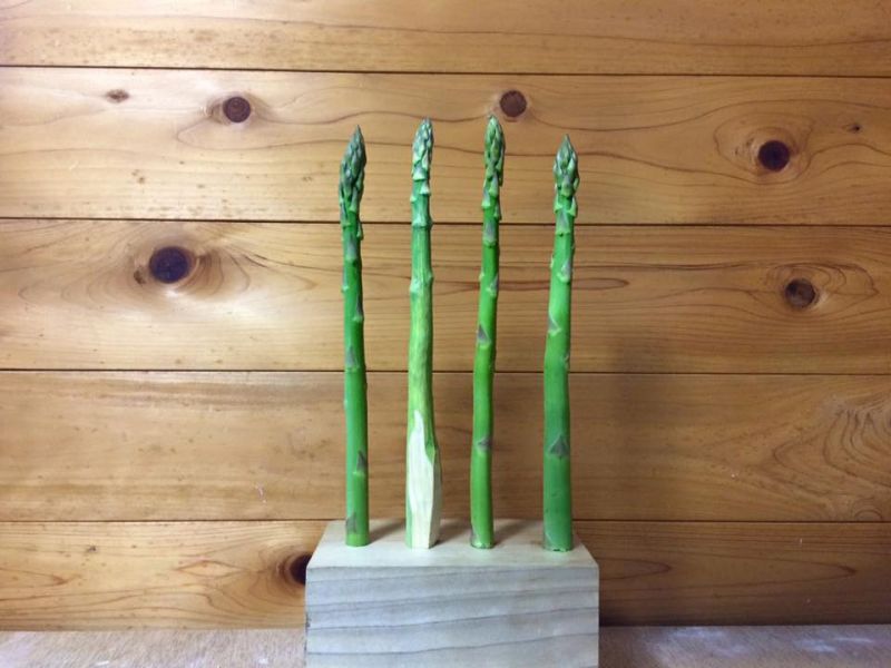 Điêu khắc gỗ Seiji Kawasaki